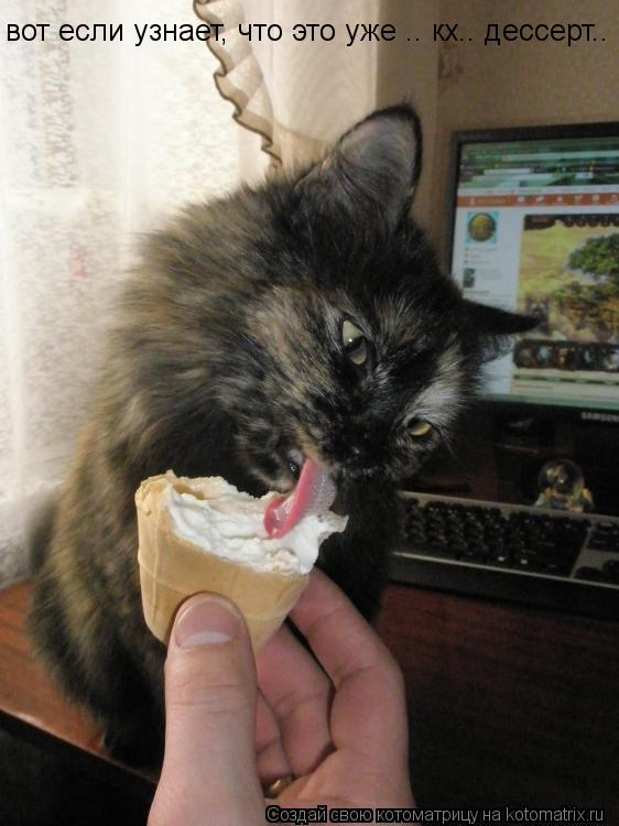 вот если узнает, что это уже .. кх.. дессерт..... Котоматрица: вот если узнает, что это уже .. кх.. дессерт..
