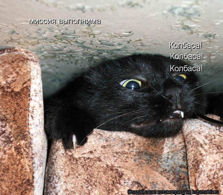 миссия выполнима Колбаса! Колбаса! Колбаса!... Котоматрица: миссия выполнима Колбаса! Колбаса! Колбаса!