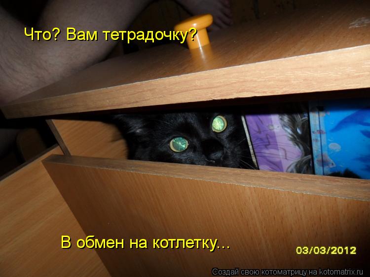 Что? Вам тетрадочку? В обмен на котлетку...... Котоматрица: Что? Вам тетрадочку? В обмен на котлетку...