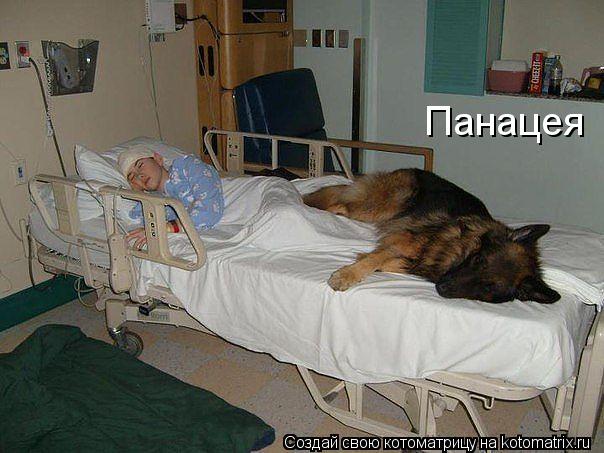 Панацея... Котоматрица: Панацея
