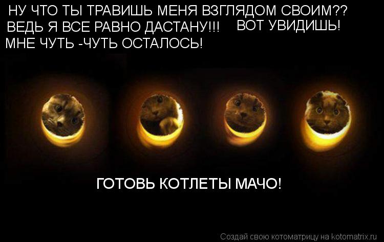 НУ ЧТО ТЫ ТРАВИШЬ МЕНЯ ВЗГЛЯДОМ СВОИМ?? ВЕДЬ Я ВСЕ РАВНО ДАСТАНУ!!! ВОТ УВИДИШЬ! МНЕ ЧУТЬ -ЧУТЬ ОСТАЛ... Котоматрица: НУ ЧТО ТЫ ТРАВИШЬ МЕНЯ ВЗГЛЯДОМ СВОИМ?? ВЕДЬ Я ВСЕ РАВНО ДАСТАНУ!!! ВОТ УВИДИШЬ! МНЕ ЧУТЬ -ЧУТЬ ОСТАЛОСЬ! ГОТОВЬ КОТЛЕТЫ МАЧО!