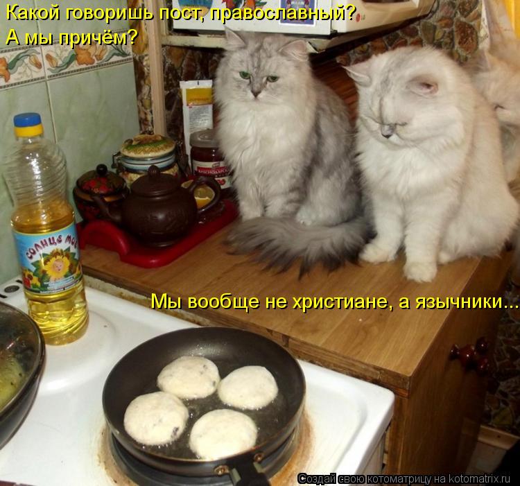 Какой говоришь пост, православный? А мы причём? Мы вообще не христиане, а язычники...... Котоматрица: Какой говоришь пост, православный? А мы причём? Мы вообще не христиане, а язычники...