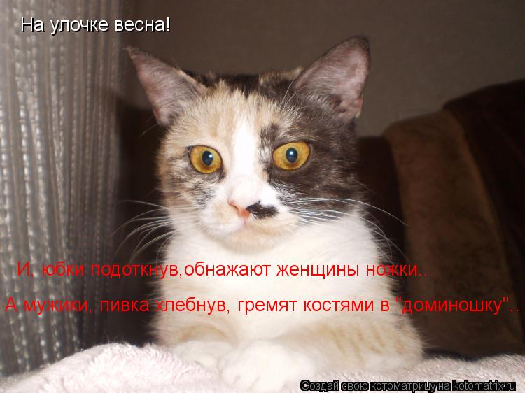 На улочке весна! И, юбки подоткнув,обнажают женщины ножки.. А мужики, пивка хлебнув, гремят костями ... Котоматрица: На улочке весна! И, юбки подоткнув,обнажают женщины ножки.. А мужики, пивка хлебнув, гремят костями в "доминошку"..
