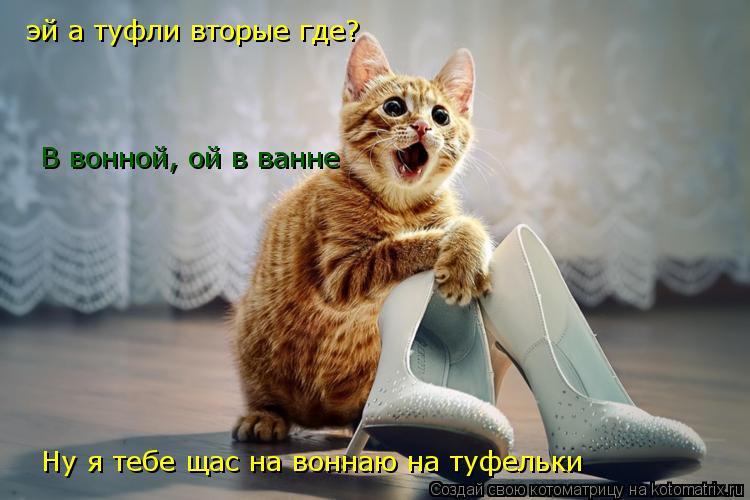 эй а туфли вторые где? В вонной, ой в ванне Ну я тебе щас на воннаю на туфельки... Котоматрица: эй а туфли вторые где? В вонной, ой в ванне Ну я тебе щас на воннаю на туфельки