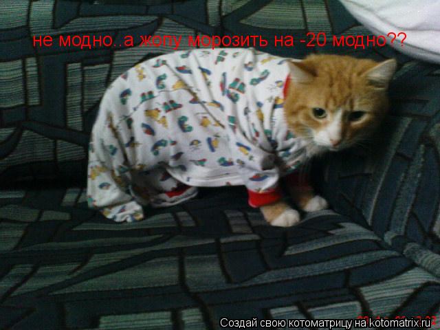 не модно..а жопу морозить на -20 модно??... Котоматрица: не модно..а жопу морозить на -20 модно??