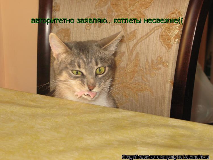 авторитетно заявляю...котлеты несвежие((... Котоматрица: авторитетно заявляю...котлеты несвежие((