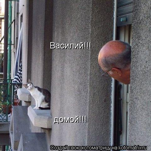 Котоматрица: Василий!!! домой!!!