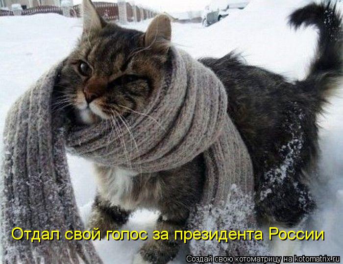 Отдал свой голос за президента России... Котоматрица: Отдал свой голос за президента России