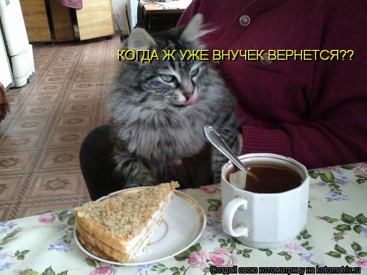 КОГДА Ж УЖЕ ВНУЧЕК ВЕРНЕТСЯ?? КОГДА Ж УЖЕ ВНУЧЕК ВЕРНЕТСЯ??... Котоматрица: КОГДА Ж УЖЕ ВНУЧЕК ВЕРНЕТСЯ?? КОГДА Ж УЖЕ ВНУЧЕК ВЕРНЕТСЯ??
