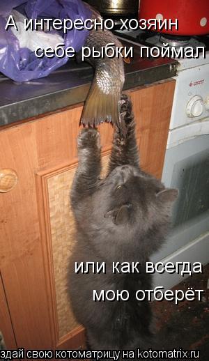 А интересно хозяин себе рыбки поймал или как всегда мою отберёт... Котоматрица: А интересно хозяин себе рыбки поймал или как всегда мою отберёт