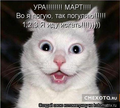УРА!!!!!!!! МАРТ!!!! Во я погую, так погуляю!!!!!! 1,2,3 Я иду искать!!!!)))))... Котоматрица: УРА!!!!!!!! МАРТ!!!! Во я погую, так погуляю!!!!!! 1,2,3 Я иду искать!!!!)))))