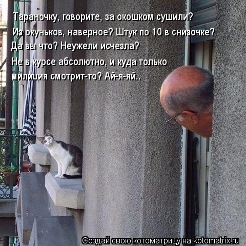 Тараночку, говорите, за окошком сушили? Из окуньков, наверное? Штук по 10 в снизочке? Да вы что? Неуж... Котоматрица: Тараночку, говорите, за окошком сушили? Из окуньков, наверное? Штук по 10 в снизочке? Да вы что? Неужели исчезла? Не в курсе абсолютно, и куда т