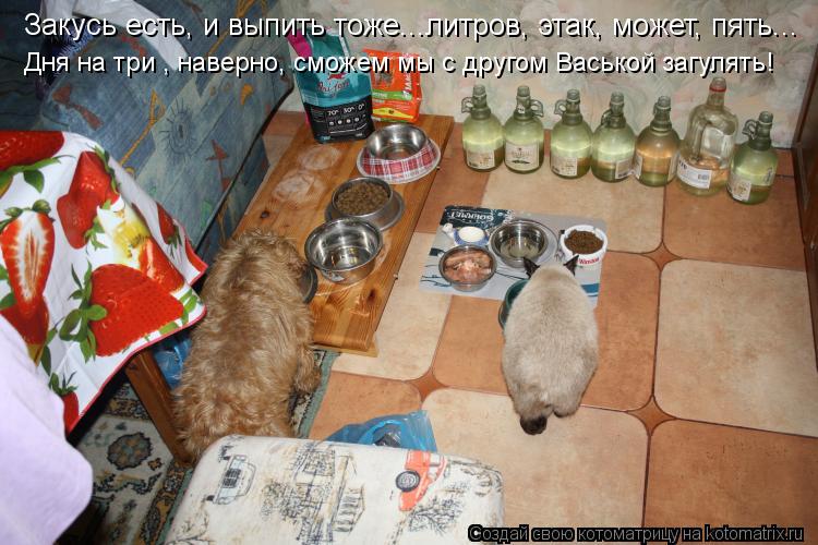 Закусь есть, и выпить тоже...литров, этак, может, пять... Дня на три , наверно, сможем мы с другом Ва... Котоматрица: Закусь есть, и выпить тоже...литров, этак, может, пять... Дня на три , наверно, сможем мы с другом Васькой загулять!