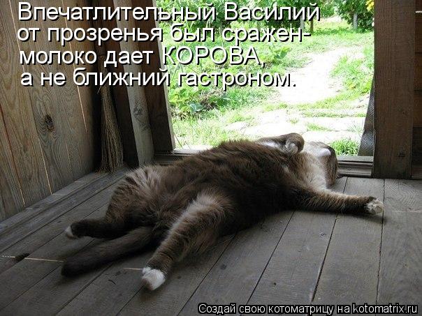 Впечатлительный Василий от прозренья был сражен- молоко дает КОРОВА, а не ближний гастроном.... Котоматрица: Впечатлительный Василий от прозренья был сражен- молоко дает КОРОВА, а не ближний гастроном.