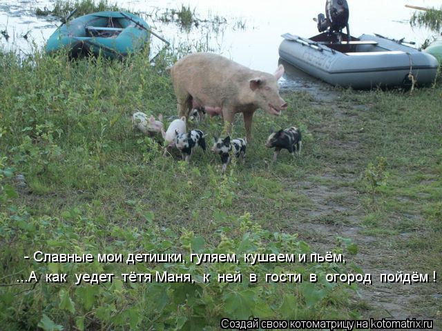 Котоматрица: ...А  как  уедет  тётя Маня,  к  ней  в  гости  в  огород  пойдём !   - Славные мои детишки, гуляем, кушаем и пьём,