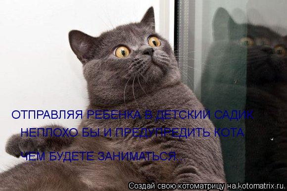 ОТПРАВЛЯЯ РЕБЕНКА В ДЕТСКИЙ САДИК НЕПЛОХО БЫ И ПРЕДУПРЕДИТЬ КОТА ЧЕМ БУДЕТЕ ЗАНИМАТЬСЯ...... Котоматрица: ОТПРАВЛЯЯ РЕБЕНКА В ДЕТСКИЙ САДИК НЕПЛОХО БЫ И ПРЕДУПРЕДИТЬ КОТА ЧЕМ БУДЕТЕ ЗАНИМАТЬСЯ...
