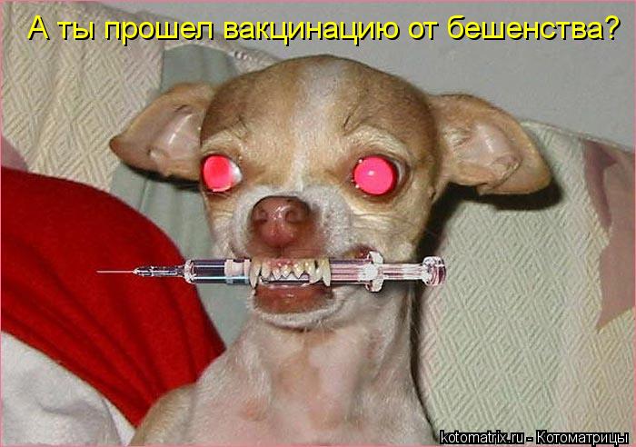А ты прошел вакцинацию от бешенства?... Котоматрица: А ты прошел вакцинацию от бешенства?