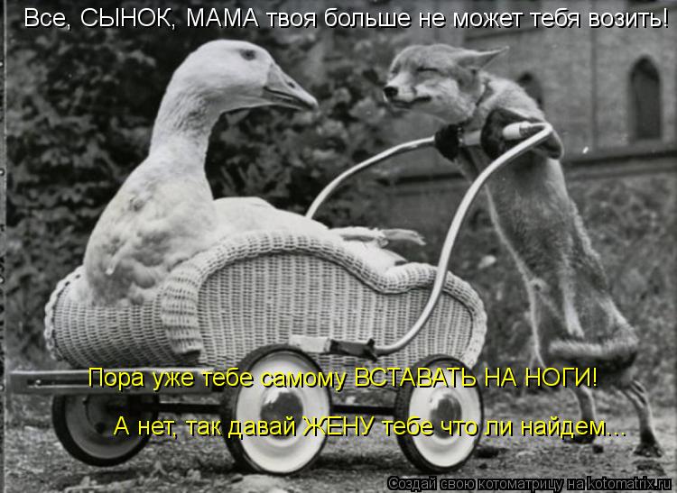 Пора уже тебе самому ВСТАВАТЬ НА НОГИ! А нет, так давай ЖЕНУ тебе что ли найдем... Все, СЫНОК, МАМА т... Котоматрица: Пора уже тебе самому ВСТАВАТЬ НА НОГИ! А нет, так давай ЖЕНУ тебе что ли найдем... Все, СЫНОК, МАМА твоя больше не может тебя возить!