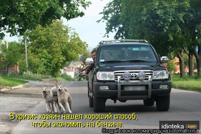 чтобы экономить на бензине. В кризис хозяин нашел хороший способ,... Котоматрица: чтобы экономить на бензине. В кризис хозяин нашел хороший способ,