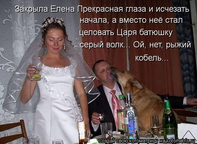 Закрыла Елена Прекрасная глаза и исчезать начала, а вместо неё стал целовать Царя батюшку серый волк.... Котоматрица: Закрыла Елена Прекрасная глаза и исчезать начала, а вместо неё стал целовать Царя батюшку серый волк... Ой, нет, рыжий кобель...