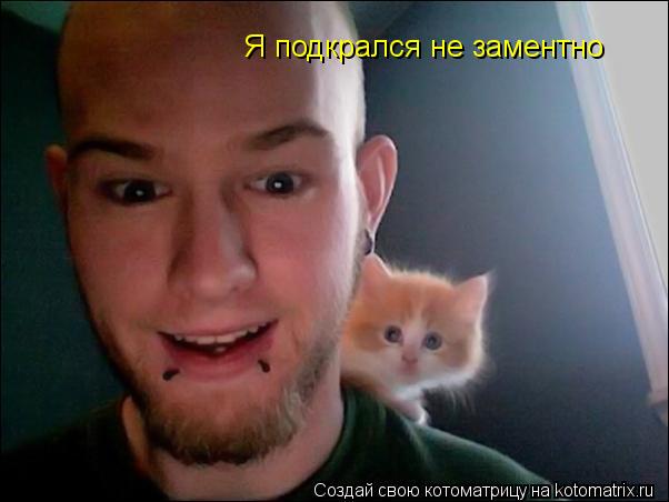 Я подкрался не заментно... Котоматрица: Я подкрался не заментно