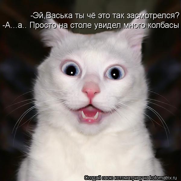 -Эй,Васька ты чё это так засмотрелся? -Эй,Васька ты чё это так засмотрелся? -А...а.. Просто на столе ... Котоматрица: -Эй,Васька ты чё это так засмотрелся? -Эй,Васька ты чё это так засмотрелся? -А...а.. Просто на столе увидел много колбасы