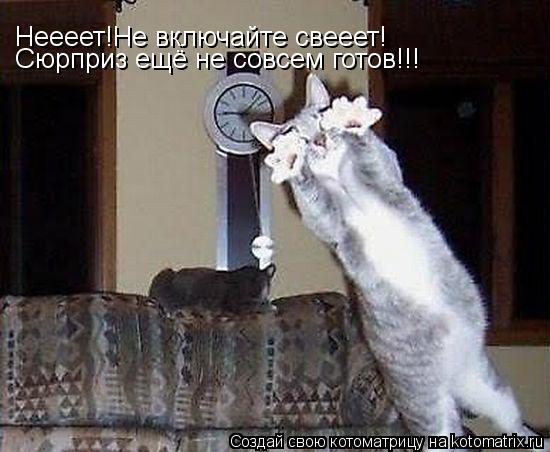 Неееет!Не включайте свееет! Сюрприз ещё не совсем готов!!!... Котоматрица: Неееет!Не включайте свееет! Сюрприз ещё не совсем готов!!!