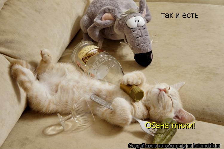 Обана глюки! так и есть... Котоматрица: Обана глюки! так и есть
