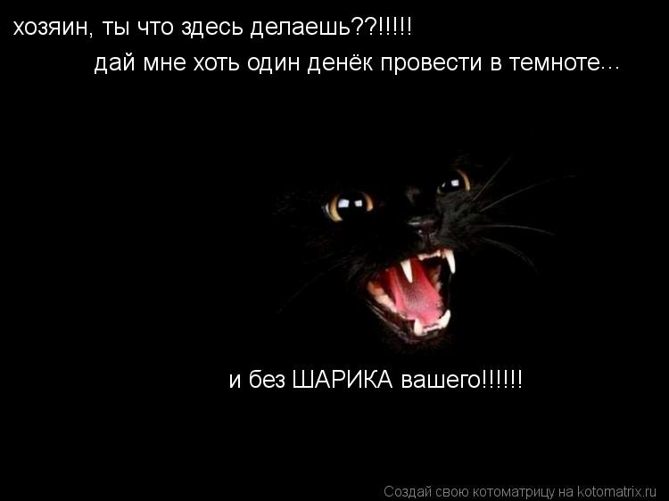 хозяин, ты что здесь делаешь??!!!!! дай мне хоть один денёк провести в темноте ... и без ШАРИКА вашег... Котоматрица: хозяин, ты что здесь делаешь??!!!!! дай мне хоть один денёк провести в темноте ... и без ШАРИКА вашего!!!!!!