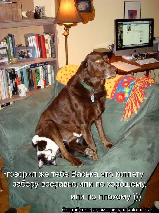 говорил же тебе Васька,что котлету заберу всеравно,или по хорошему, или по плохому ))) -... Котоматрица: говорил же тебе Васька,что котлету заберу всеравно,или по хорошему, или по плохому ))) -