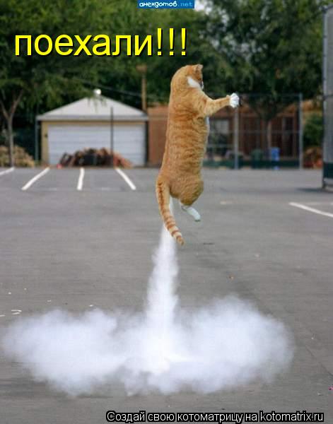 поехали!!!... Котоматрица: поехали!!!