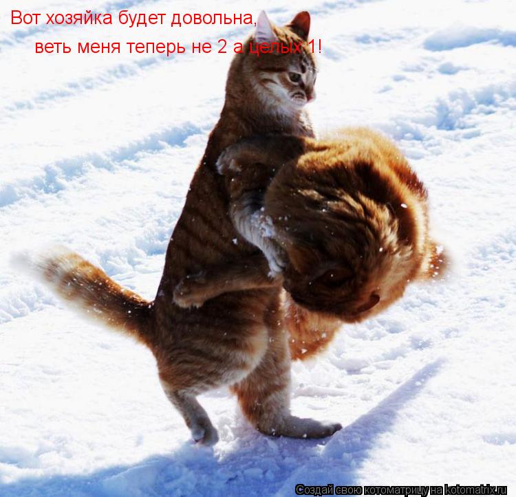 Вот хозяйка будет довольна, веть меня теперь не 2 а целых 1!... Котоматрица: Вот хозяйка будет довольна, веть меня теперь не 2 а целых 1!