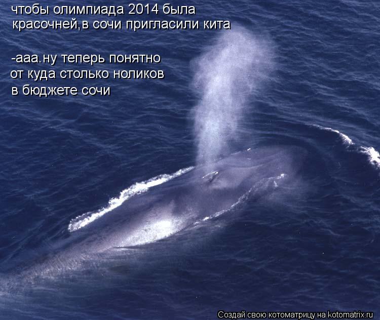 чтобы олимпиада 2014 была -ааа.ну теперь понятно красочней,в сочи пригласили кита от куда столько н... Котоматрица: чтобы олимпиада 2014 была -ааа.ну теперь понятно красочней,в сочи пригласили кита от куда столько ноликов в бюджете сочи