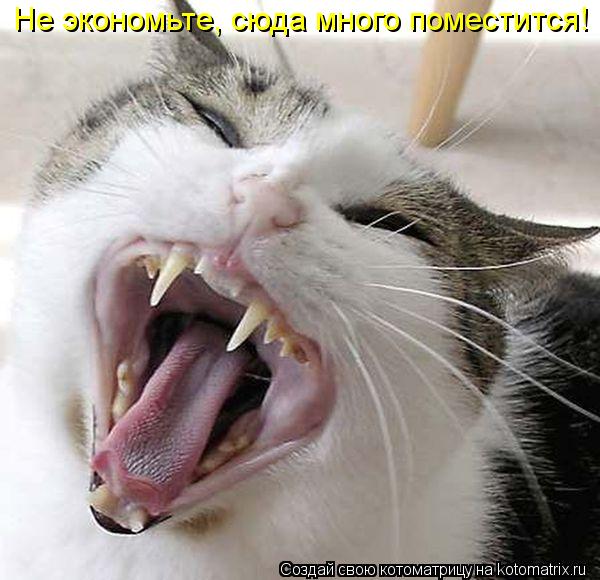 Не экономьте, сюда много поместится!... Котоматрица: Не экономьте, сюда много поместится!