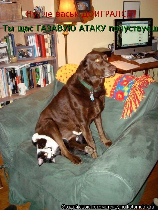 Ну, че васьк ДОИГРАЛСЯ! Ты щас ГАЗАВУЮ АТАКУ почуствуешь... Котоматрица: Ну, че васьк ДОИГРАЛСЯ! Ты щас ГАЗАВУЮ АТАКУ почуствуешь