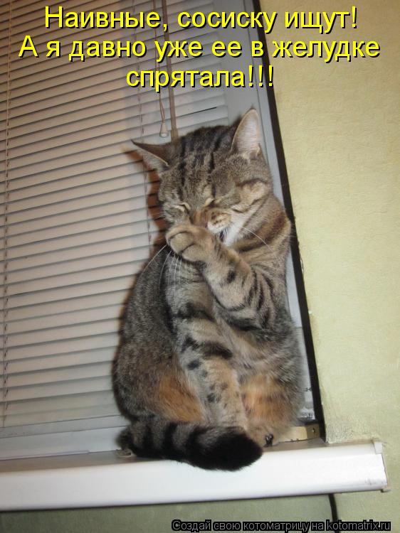 Наивные, сосиску ищут! А я давно уже ее в желудке спрятала!!!... Котоматрица: Наивные, сосиску ищут! А я давно уже ее в желудке спрятала!!!