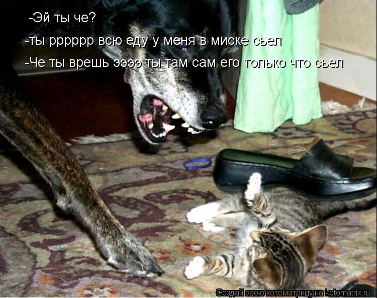 -Эй ты че? -ты рррррр всю еду у меня в миске сьел -Че ты врешь ээээ ты там сам его только что сьел... Котоматрица: -Эй ты че? -ты рррррр всю еду у меня в миске сьел -Че ты врешь ээээ ты там сам его только что сьел