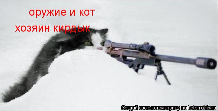 оружие и кот хозяин кирдык... Котоматрица: оружие и кот хозяин кирдык