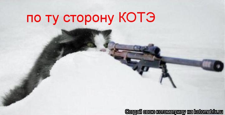 по ту сторону КОТЭ... Котоматрица: по ту сторону КОТЭ