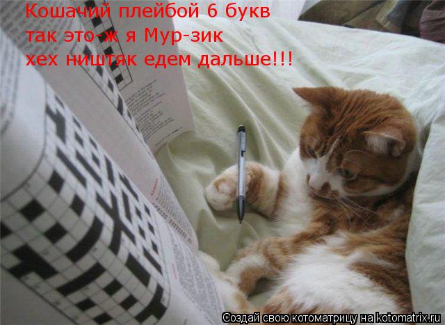 так это-ж я Мур-зик хех ништяк едем дальше!!! Кошачий плейбой 6 букв... Котоматрица: так это-ж я Мур-зик хех ништяк едем дальше!!! Кошачий плейбой 6 букв