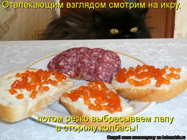 Отвлекающим взглядом смотрим на икру, потом резко выбрасываем лапу в сторону колбасы!... Котоматрица: Отвлекающим взглядом смотрим на икру, потом резко выбрасываем лапу в сторону колбасы!