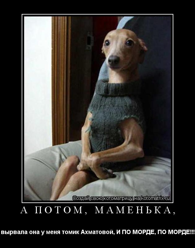 А потом, маменька, вырвала она у меня томик Ахматовой, И ПО МОРДЕ, ПО МОРДЕ!!!... Котоматрица: А потом, маменька, вырвала она у меня томик Ахматовой, И ПО МОРДЕ, ПО МОРДЕ!!!