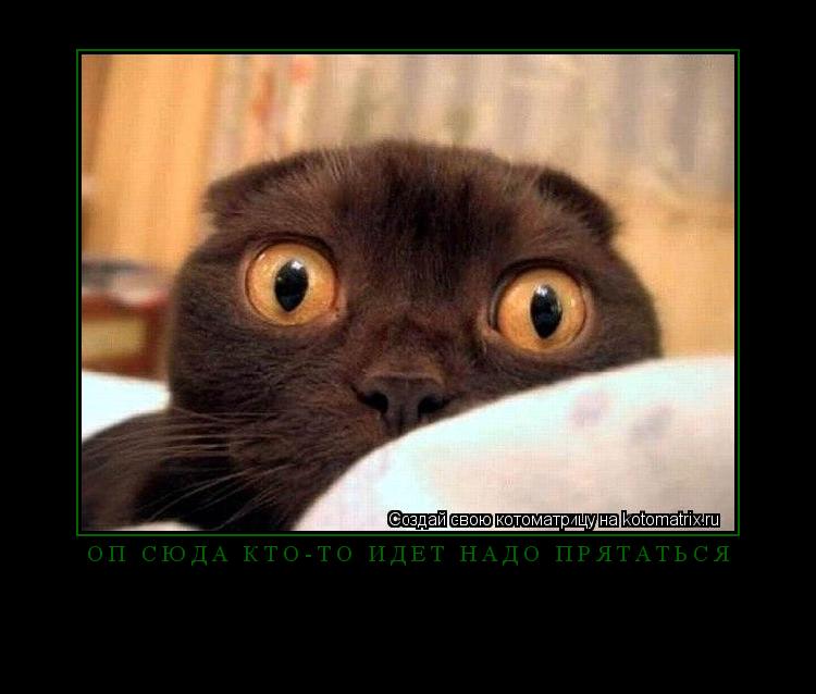 Котоматрица: Оп сюда кто-то идёт надо прятаться 