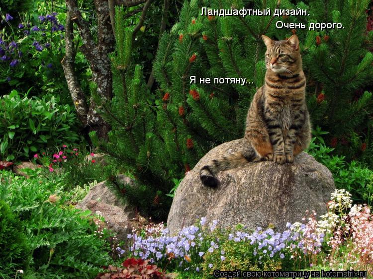 Ландшафтный дизайн. Очень дорого. Я не потяну...... Котоматрица: Ландшафтный дизайн. Очень дорого. Я не потяну...