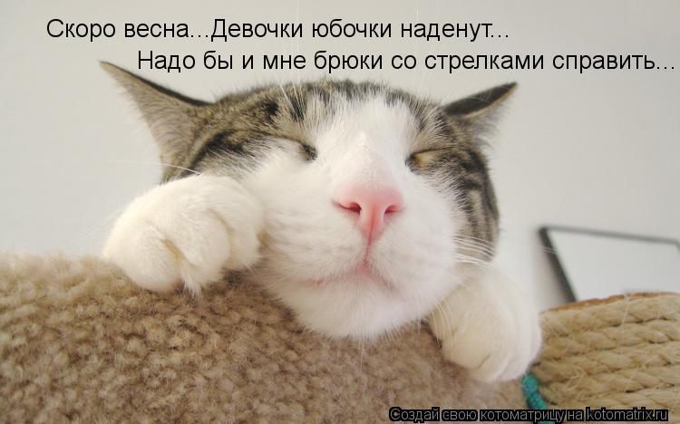 Скоро весна...Девочки юбочки наденут... Надо бы и мне брюки со стрелками справить...... Котоматрица: Скоро весна...Девочки юбочки наденут... Надо бы и мне брюки со стрелками справить...