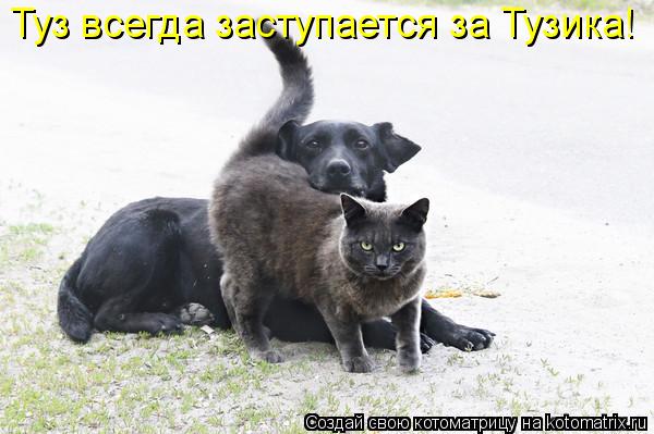 Туз всегда заступается за Тузика!... Котоматрица: Туз всегда заступается за Тузика!