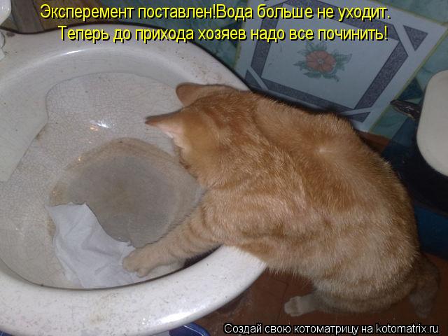 Эксперемент поставлен!Вода больше не уходит. Теперь до прихода хозяев надо все починить!... Котоматрица: Эксперемент поставлен!Вода больше не уходит. Теперь до прихода хозяев надо все починить!