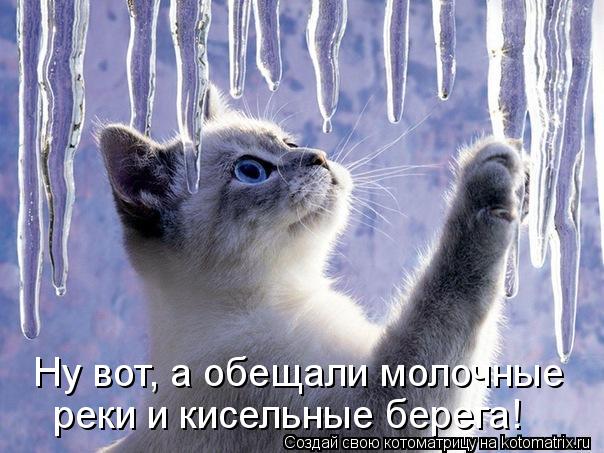 Ну вот, а обещали молочные реки и кисельные берега!... Котоматрица: Ну вот, а обещали молочные реки и кисельные берега!