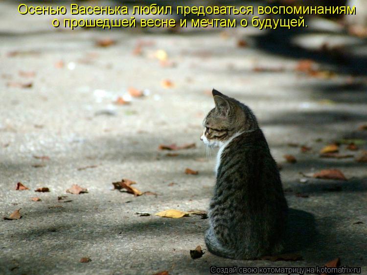 Осенью Васенька любил предоваться воспоминаниям о прошедшей весне и мечтам о будущей.... Котоматрица: Осенью Васенька любил предоваться воспоминаниям о прошедшей весне и мечтам о будущей.