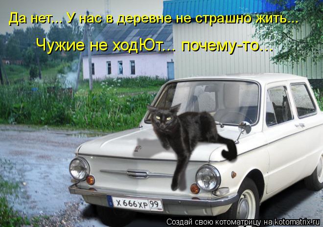 Да нет... У нас в деревне не страшно жить... Чужие не ходЮт... почему-то...... Котоматрица: Да нет... У нас в деревне не страшно жить... Чужие не ходЮт... почему-то...
